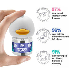 Cat Calming Diffuser Kit – 1 Diffuser + 2 Refills (60 Days)