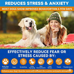 Dog Calming Diffuser Refills – 2 / 4 / 6 Pack (30 Days Each Refill) - thumbnail 5