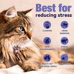 Cat Calming Diffuser Refills – 2 / 4 / 6 Pack (30 Days Each) - thumbnail 6
