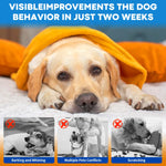 Dog Calming Diffuser Kit – 1 Diffuser + 2 Refills (Unscented, 60 Days) - thumbnail 12