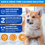 Dog Calming Diffuser Kit – 1 Diffuser + 2 Refills (Unscented, 60 Days) - thumbnail 10