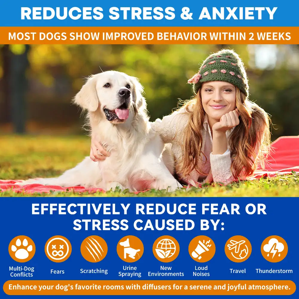 dog calming diffuser kit