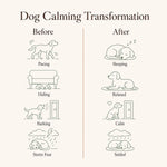 Calm + Groom Bundle for Dogs, Save 30% | SoothePaws - thumbnail 7