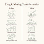 Dog Calming Diffuser Refills, 2/4/6/8 Pack | SoothePaws - thumbnail 9