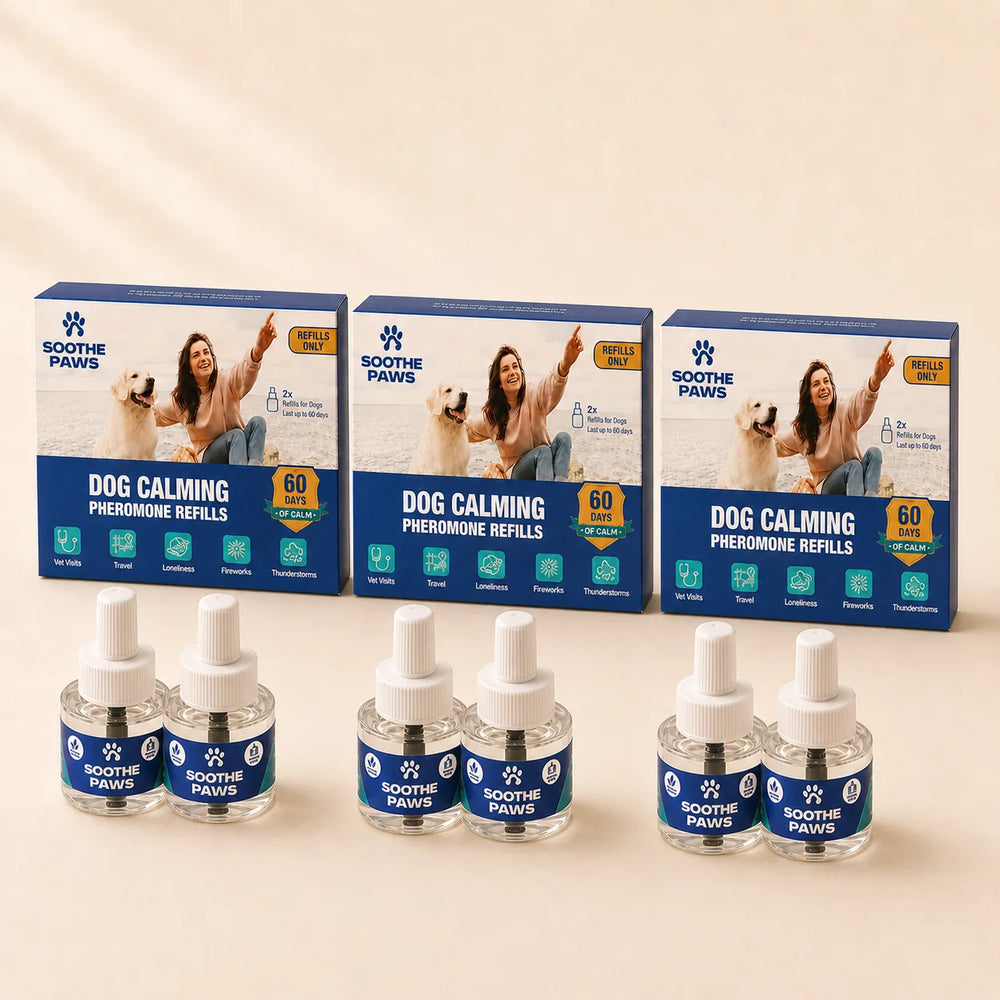 SoothePaws Dog Calming Pheromone Refills 6-pack 6 refill bottles, 180 days of whole-home calm for dogs, best value save 22% 