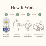 Cat Calming Diffuser Refills, 2/4/6/8 Pack | SoothePaws - thumbnail 8