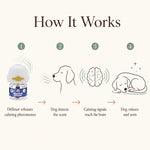 Dog Calming Diffuser Starter Kit, 60 Days | SoothePaws - thumbnail 8
