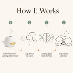 Calm + Groom Bundle for Dogs, Save 30% | SoothePaws - thumbnail 8