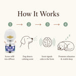 Dog Calming Diffuser Refills, 2/4/6/8 Pack | SoothePaws - thumbnail 7