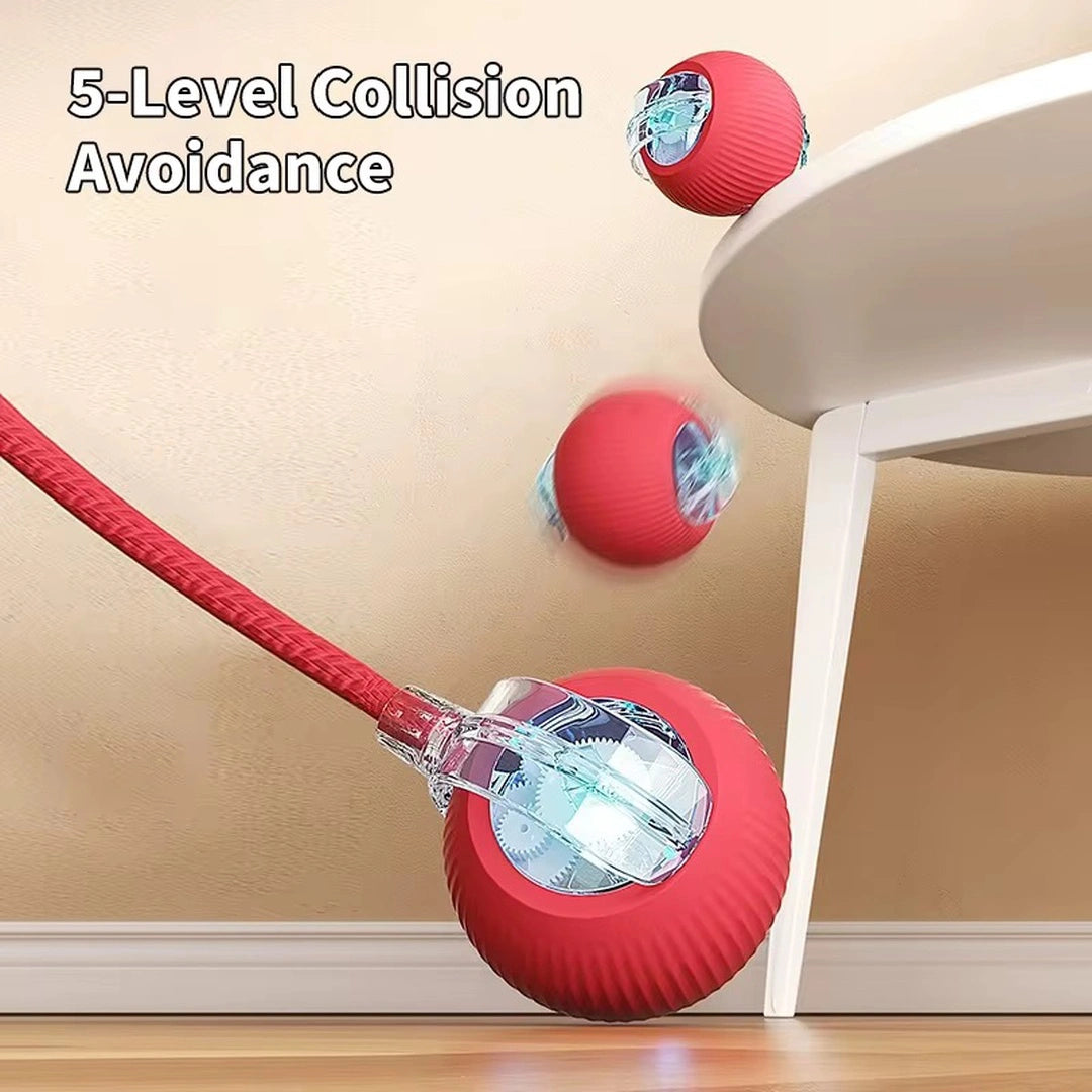 Smart Electric Pet Toy Ball (2025)
