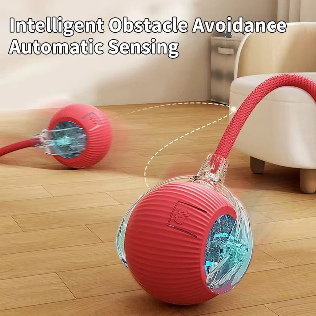 Smart Electric Pet Toy Ball (2025)