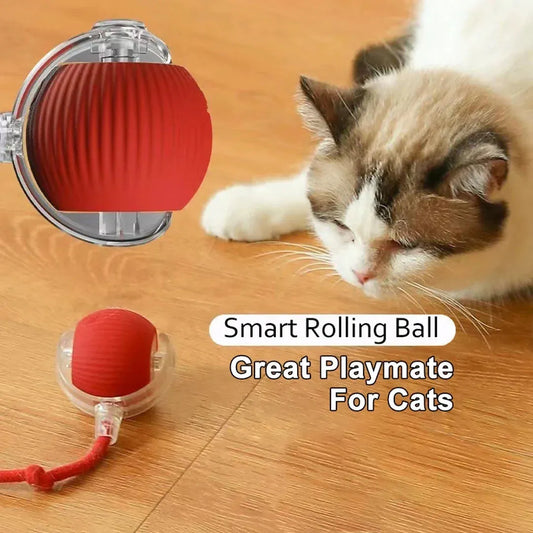 Smart Electric Pet Toy Ball – 360° Interactive Play for Dogs & Cats