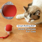 Smart Electric Pet Toy Ball (2025)