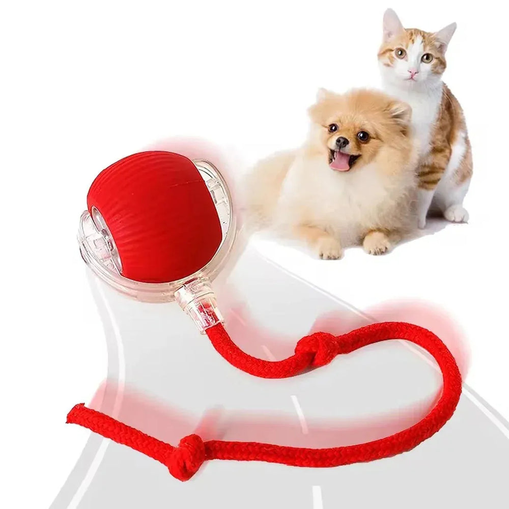 Smart Electric Pet Toy Ball – 360° Interactive Play for Dogs & Cats