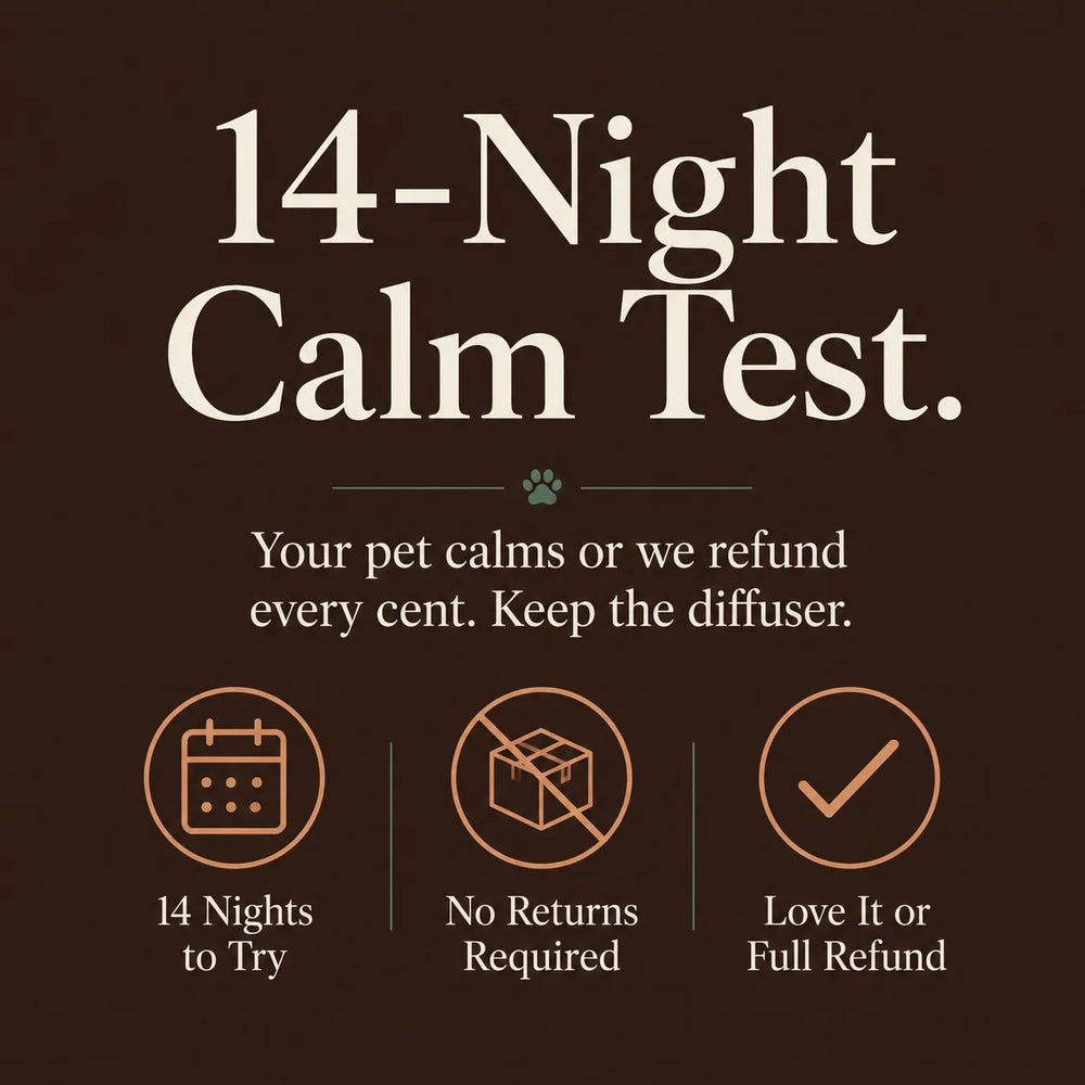 Cat Calming Diffuser Starter Kit, F3 Pheromone | SoothePaws