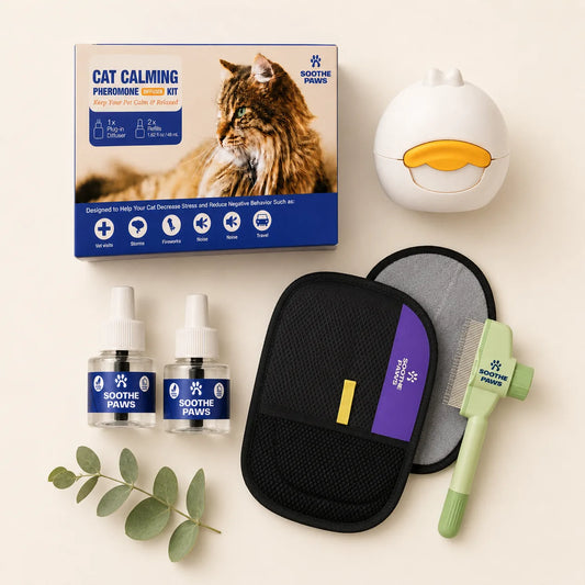 SoothePaws Calm and Groom Bundle cat version — diffuser, two 30-day feline pheromone refills, grooming glove and detangling comb, save 30% 