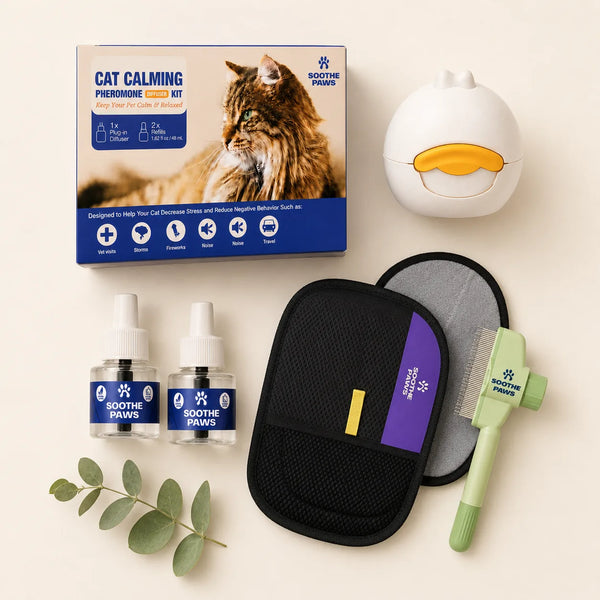 SoothePaws Calm and Groom Bundle cat version — diffuser, two 30-day feline pheromone refills, grooming glove and detangling comb, save 30% 
