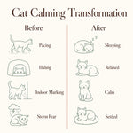 Cat Calming Diffuser Starter Kit, F3 Pheromone | SoothePaws - thumbnail 8