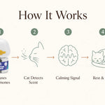 Cat Calming Diffuser Starter Kit, F3 Pheromone | SoothePaws - thumbnail 5